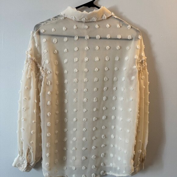 Zara - Semi-Sheer Raised Swiss Dot Smocked Arms Button Down Blouse - Picture 3 of 3